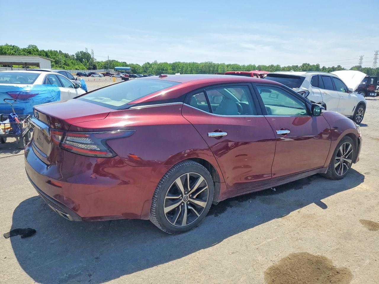 Nissan Maxima Sv