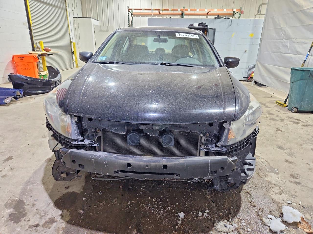 Honda Accord Se