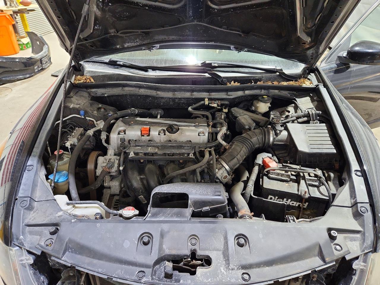 Honda Accord Se