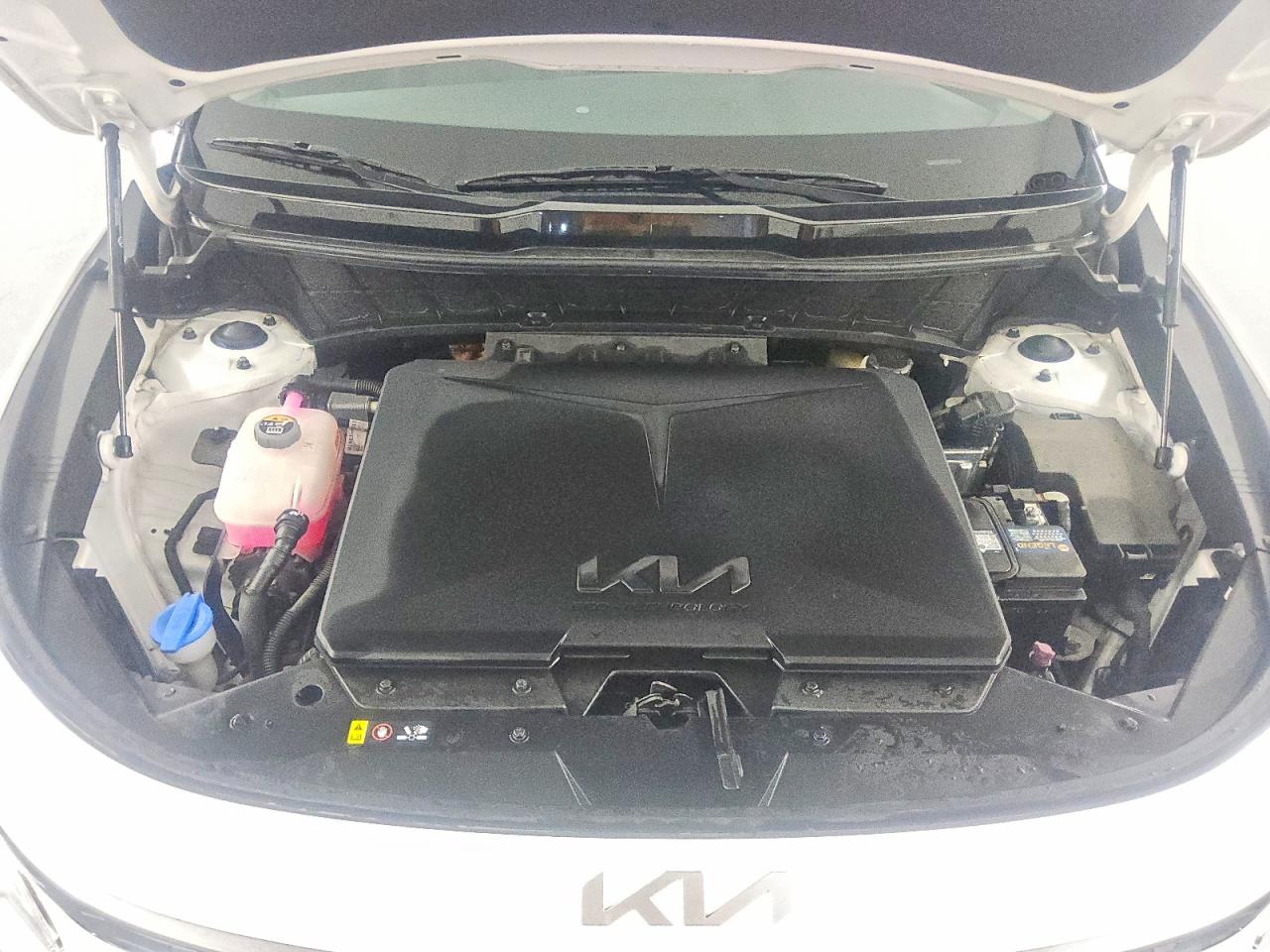 Kia Other Wind
