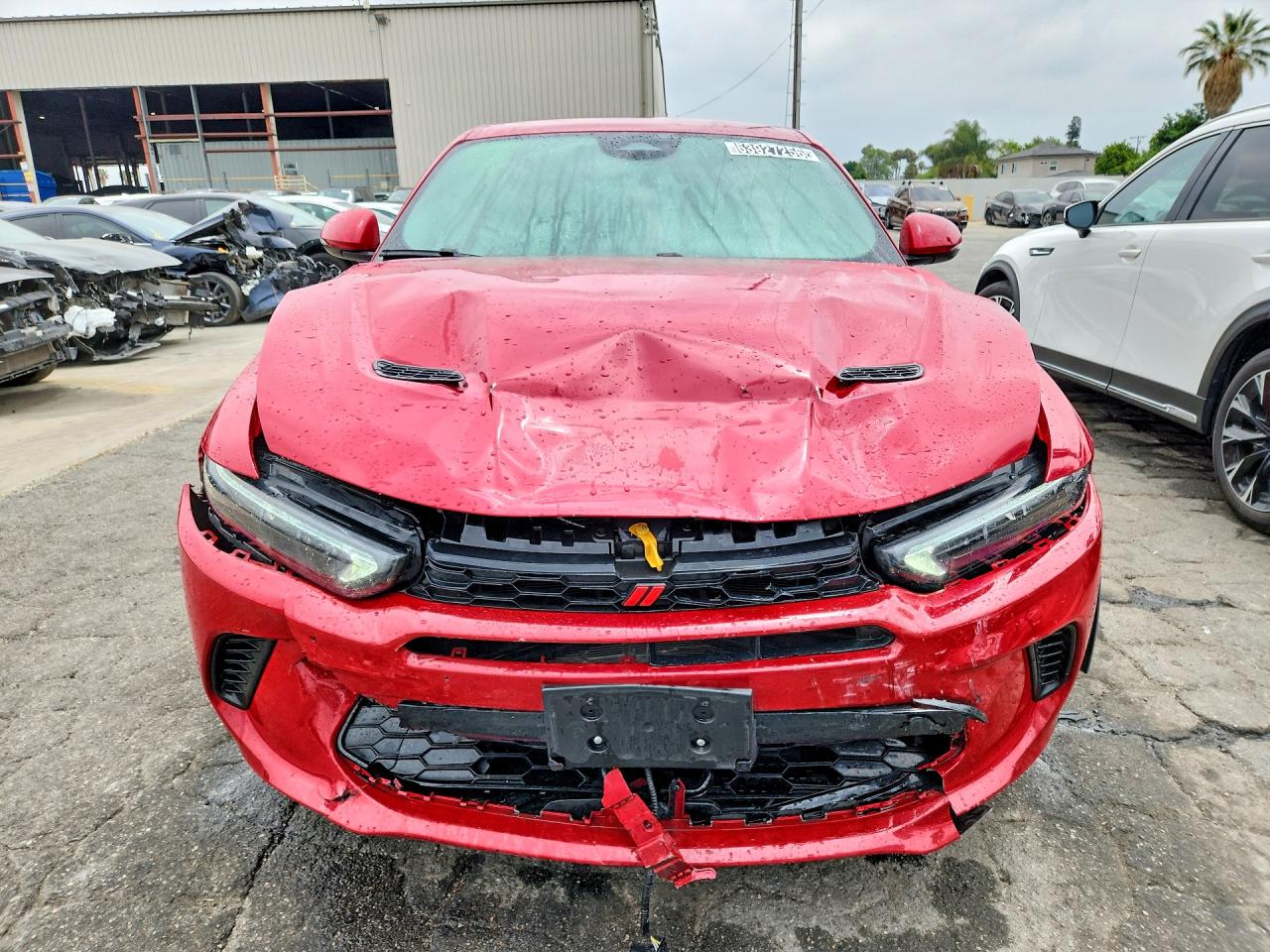 Dodge Hornet R