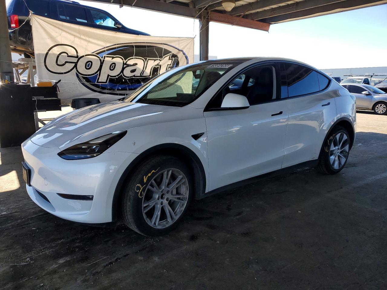 Salvage Tesla Model Y Image