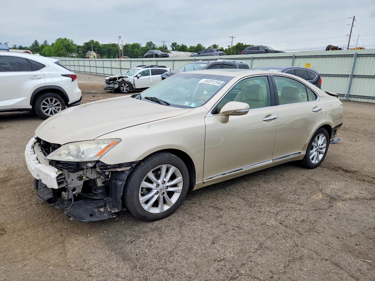 Salvage Lexus Es Image