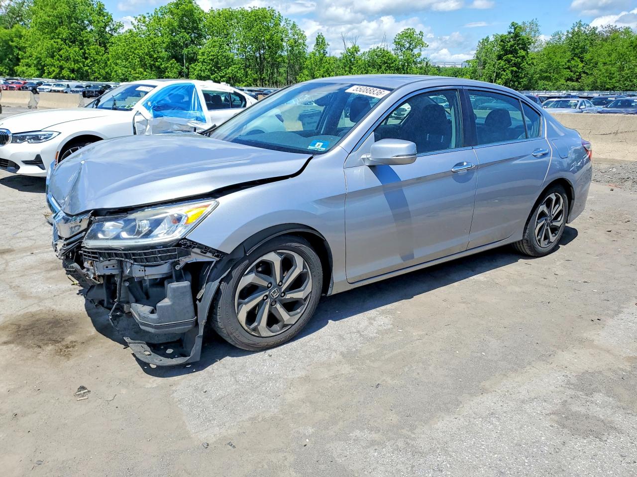 Salvage Honda Accord Image