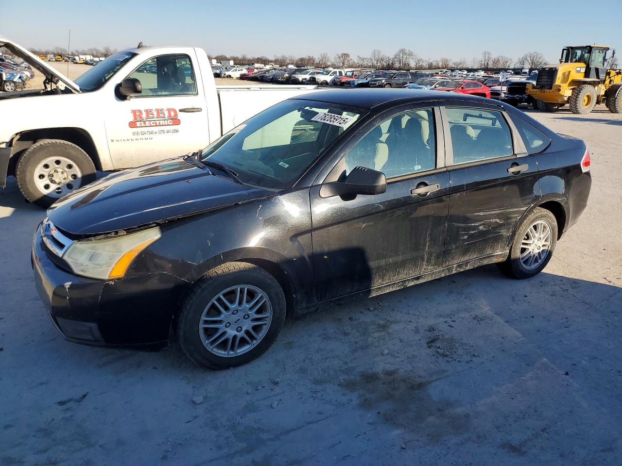 Salvage Ford Focus Se Image