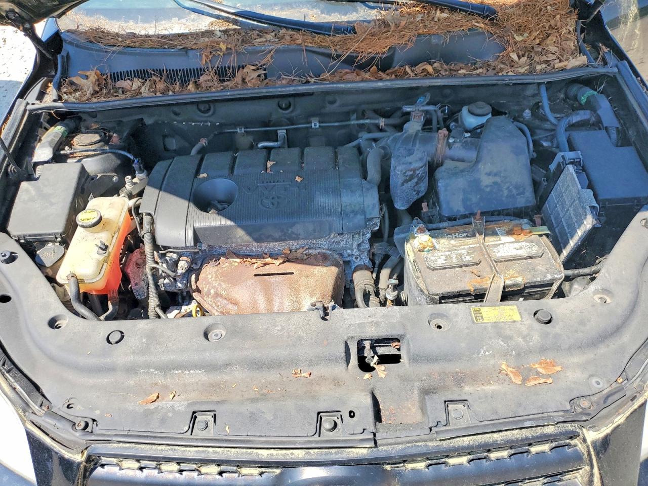 Toyota RAV4 Base