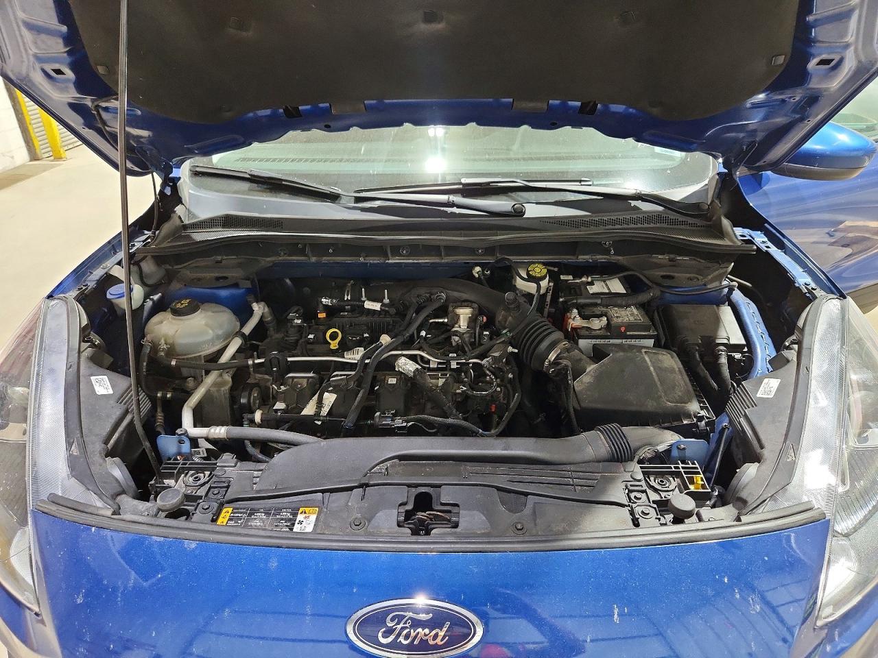 Ford Escape Sel