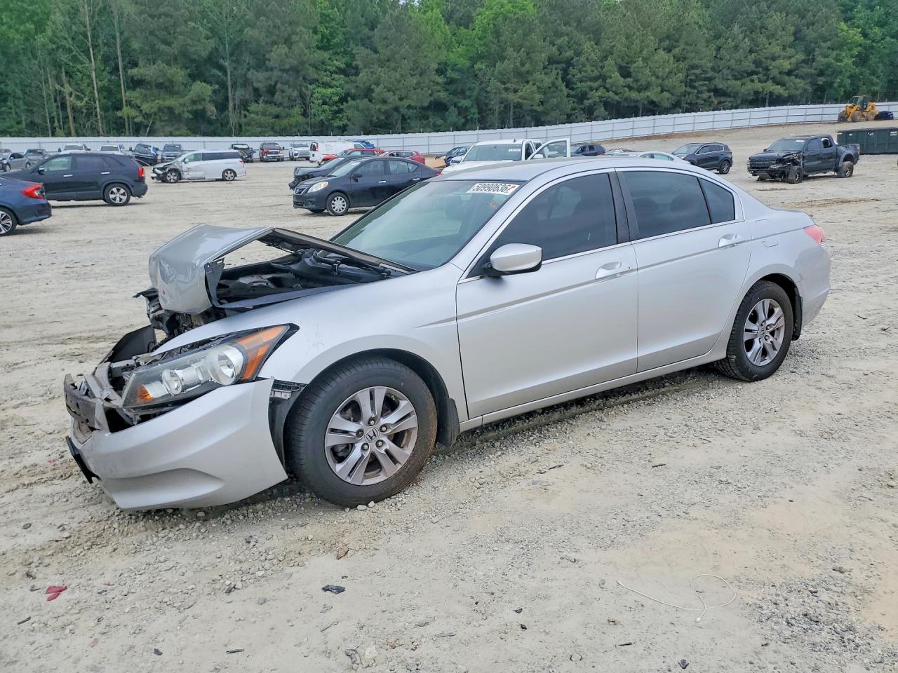 Salvage Honda Accord Image