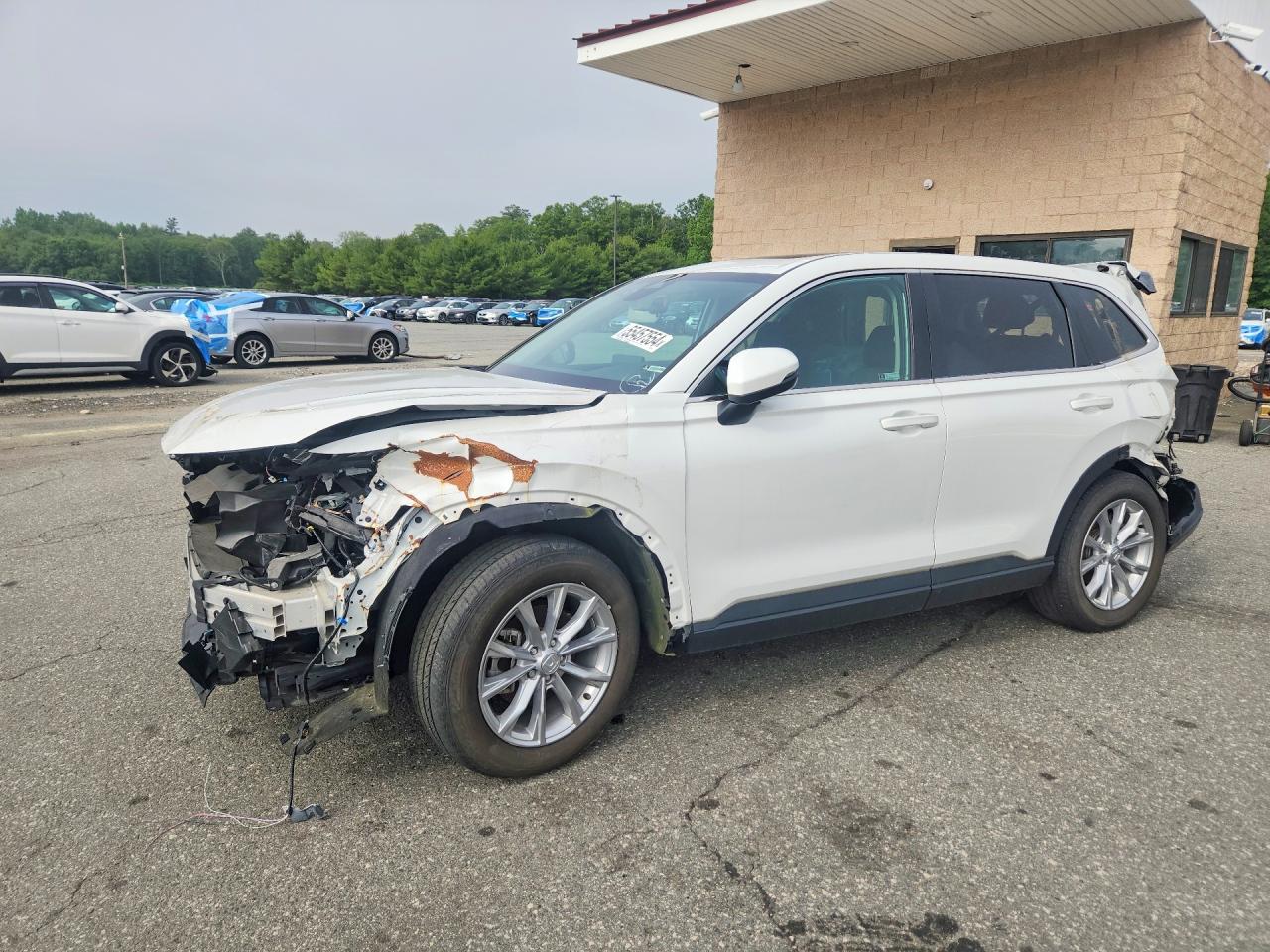 Salvage Honda Crv Image