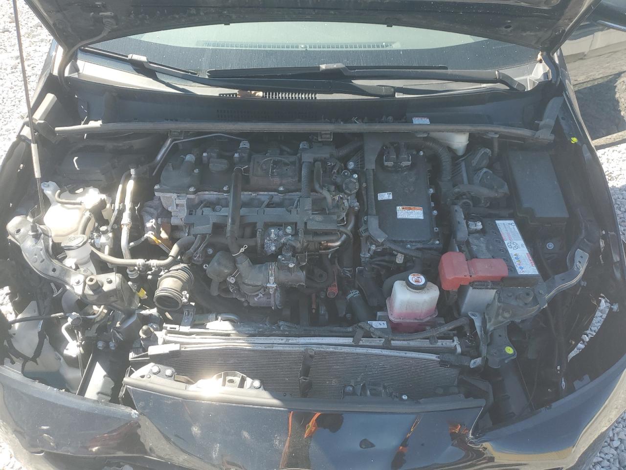 Toyota Prius Xle