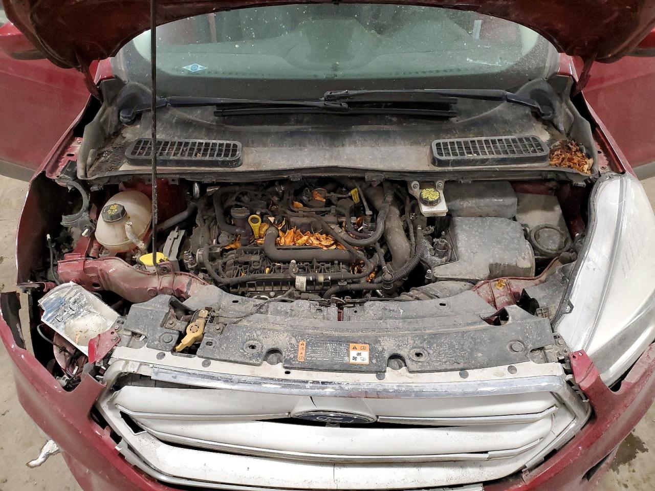 Ford Escape Se