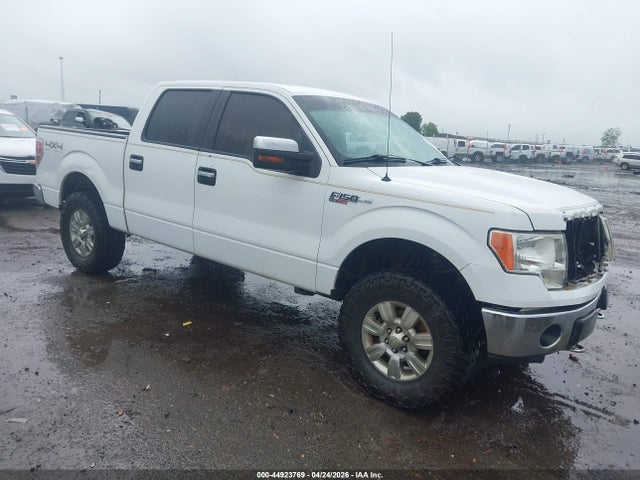 Salvage Ford F-150 Image