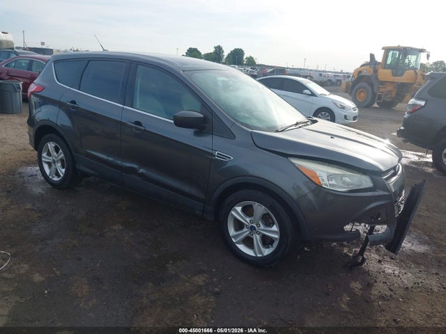 Salvage Ford Escape Image