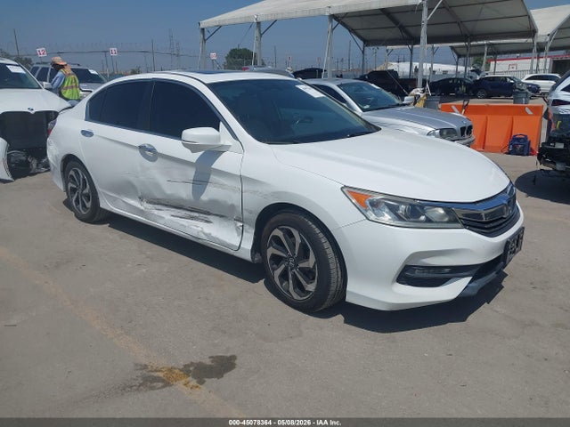 Salvage Honda Accord Image