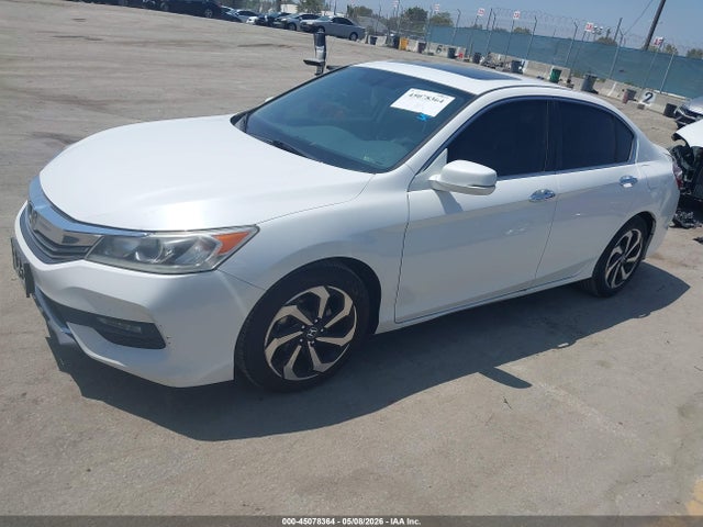 Honda Accord Ex-l