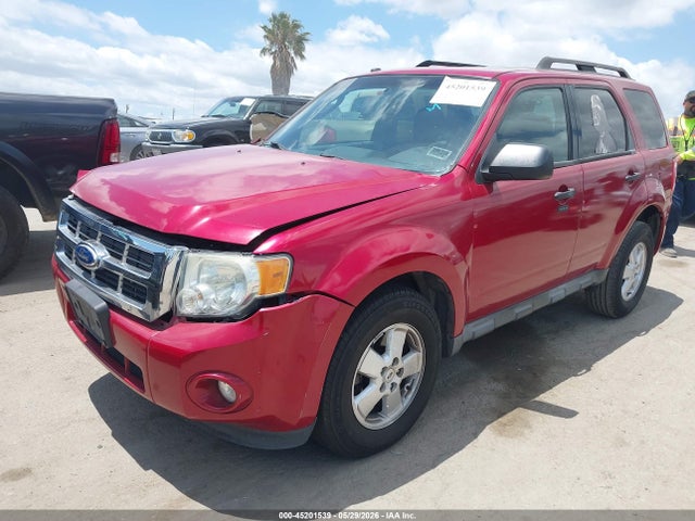 Ford Escape Xlt