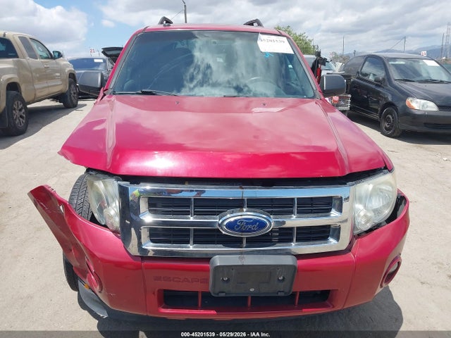 Ford Escape Xlt