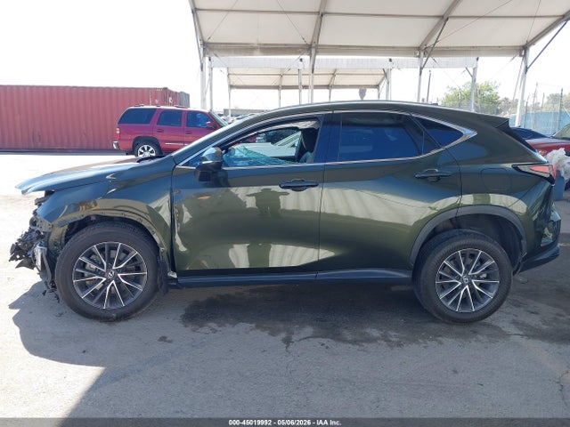 Lexus NX Premium
