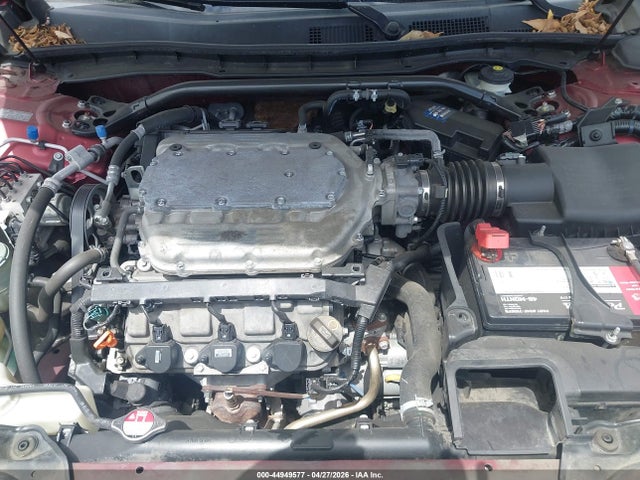 Honda Accord Ex-l