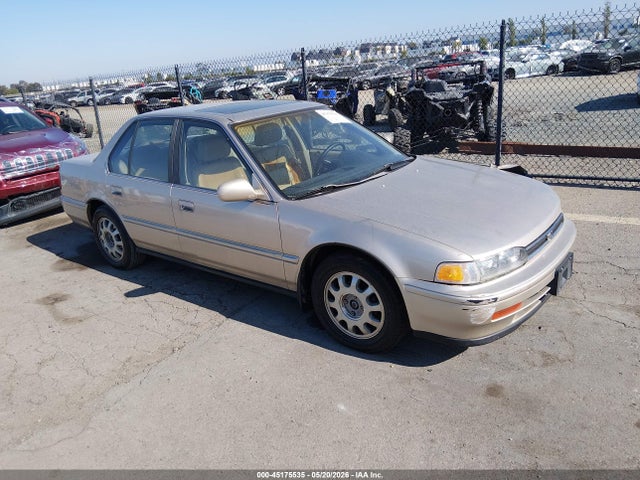 Salvage Honda Accord Image