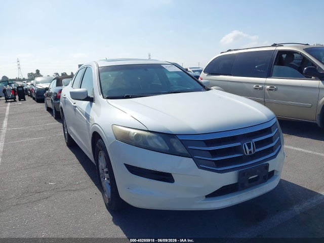 Salvage Honda Crosstour Image