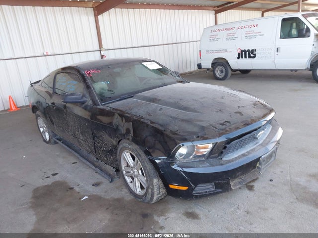 Ford Mustang V6