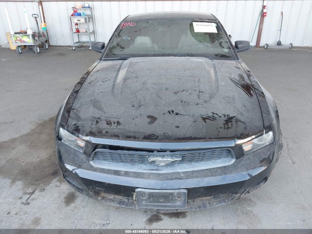 Ford Mustang V6