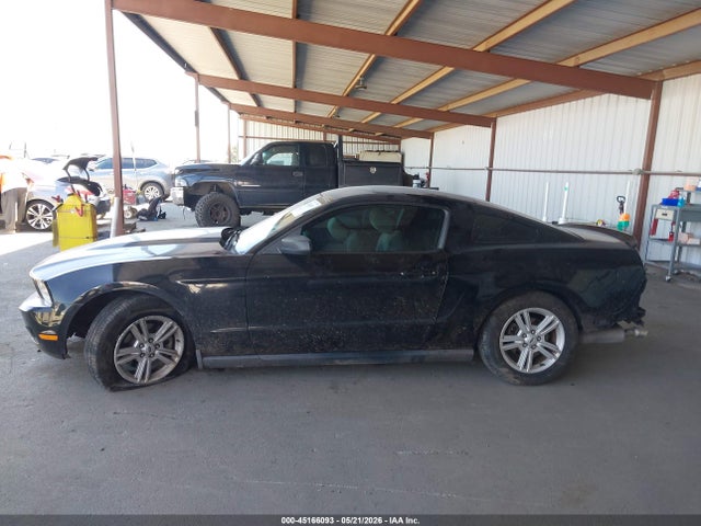 Ford Mustang V6