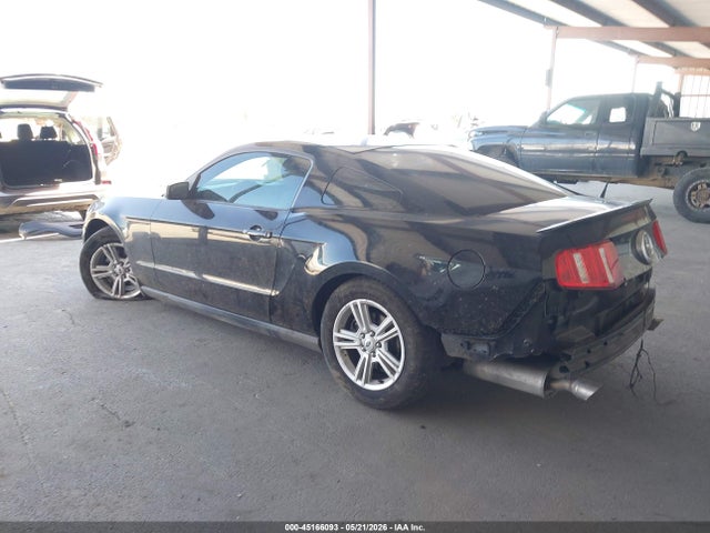 Ford Mustang V6