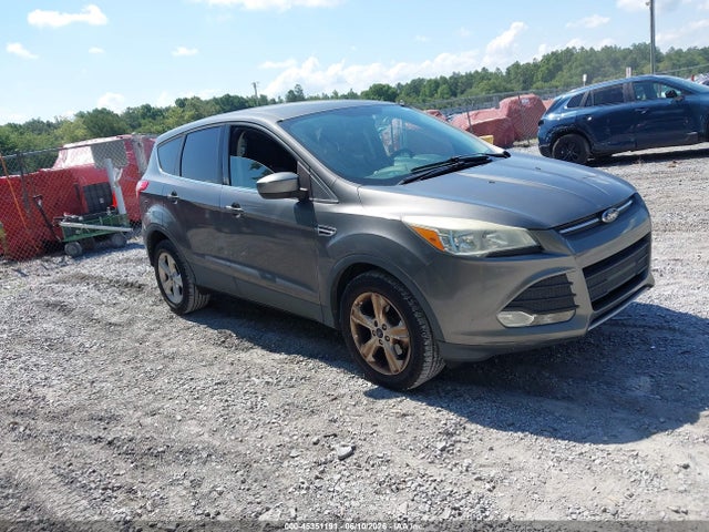 Salvage Ford Escape Image