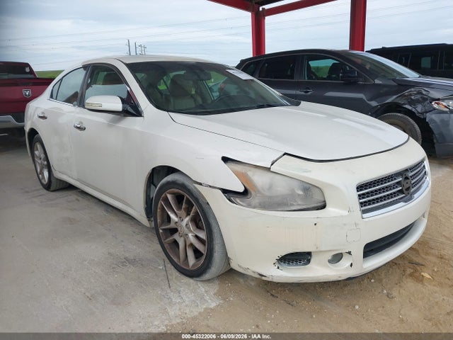 Salvage Nissan Maxima Image
