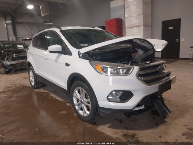 Salvage Ford Escape Image
