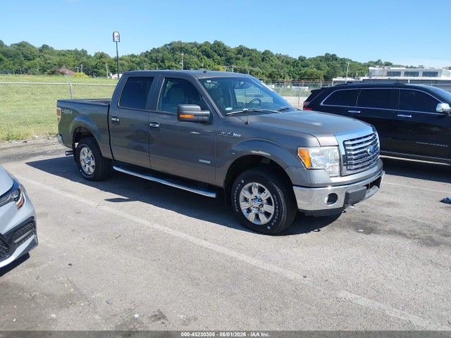 Salvage Ford F-150 Image