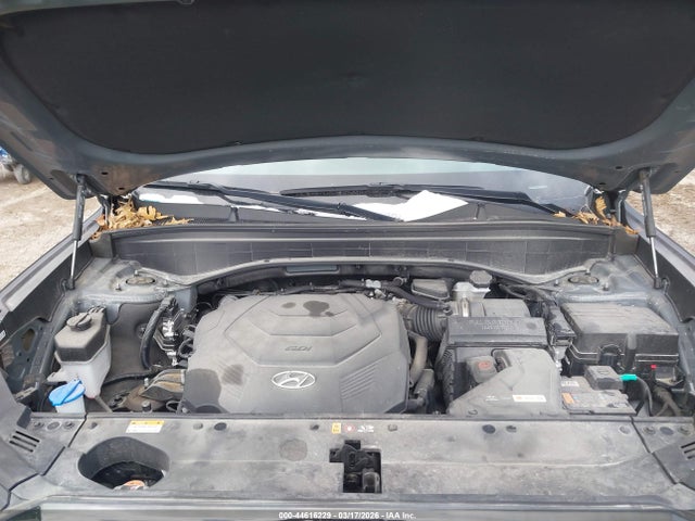 Hyundai PALISADE Xrt