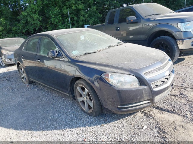 Salvage Chevrolet Malibu Image