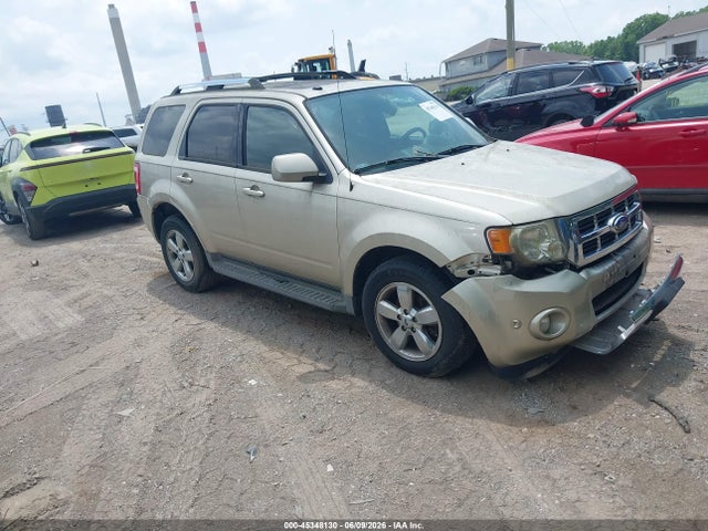 Salvage Ford Escape Image