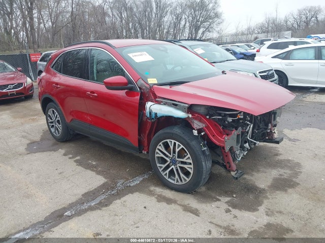 Salvage Ford Escape Image