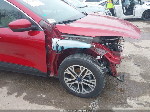 Ford Escape Sel