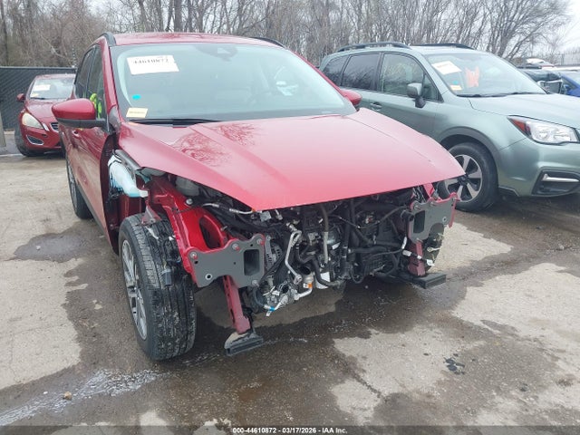 Ford Escape Sel