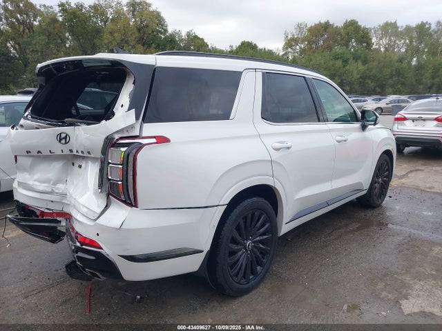 Hyundai PALISADE Calligraphy Night Edition
