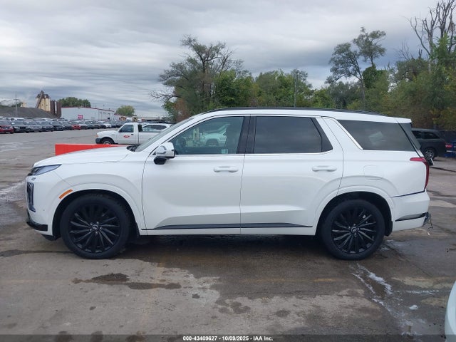 Hyundai PALISADE Calligraphy Night Edition