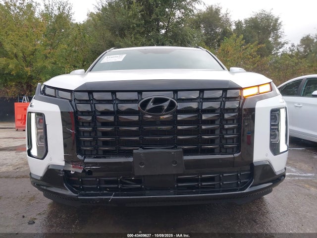 Hyundai PALISADE Calligraphy Night Edition