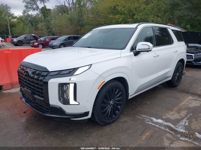 Hyundai PALISADE Calligraphy Night Edition