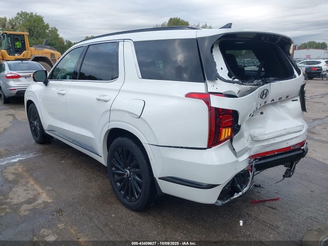 Hyundai PALISADE Calligraphy Night Edition