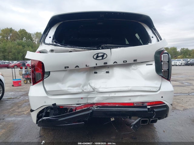 Hyundai PALISADE Calligraphy Night Edition