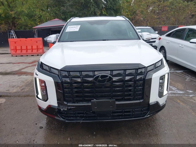 Hyundai PALISADE Calligraphy Night Edition