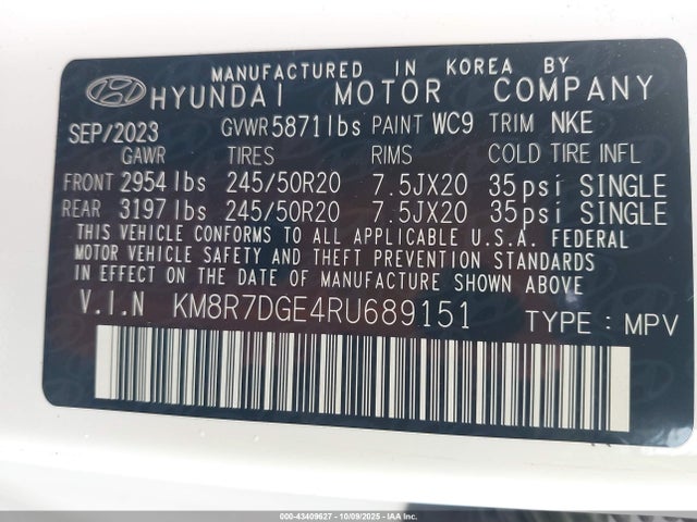 Hyundai PALISADE Calligraphy Night Edition