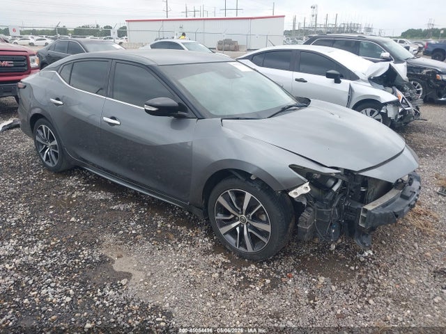 Salvage Nissan Maxima Image