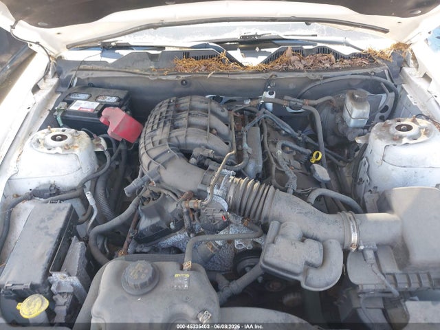 Ford Mustang V6