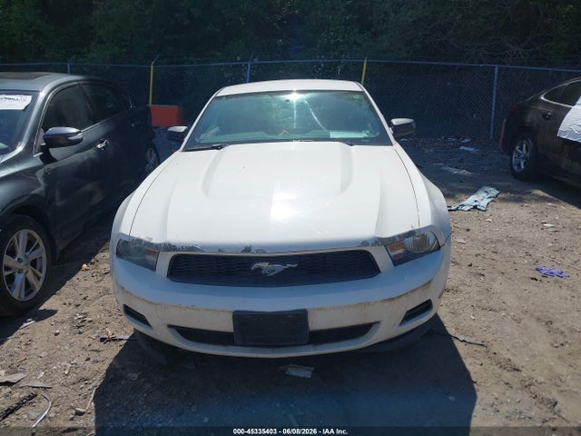 Ford Mustang V6